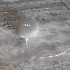 Google  mini nest